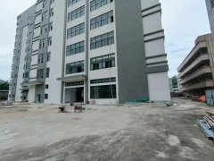 新圩长布新厂房招租