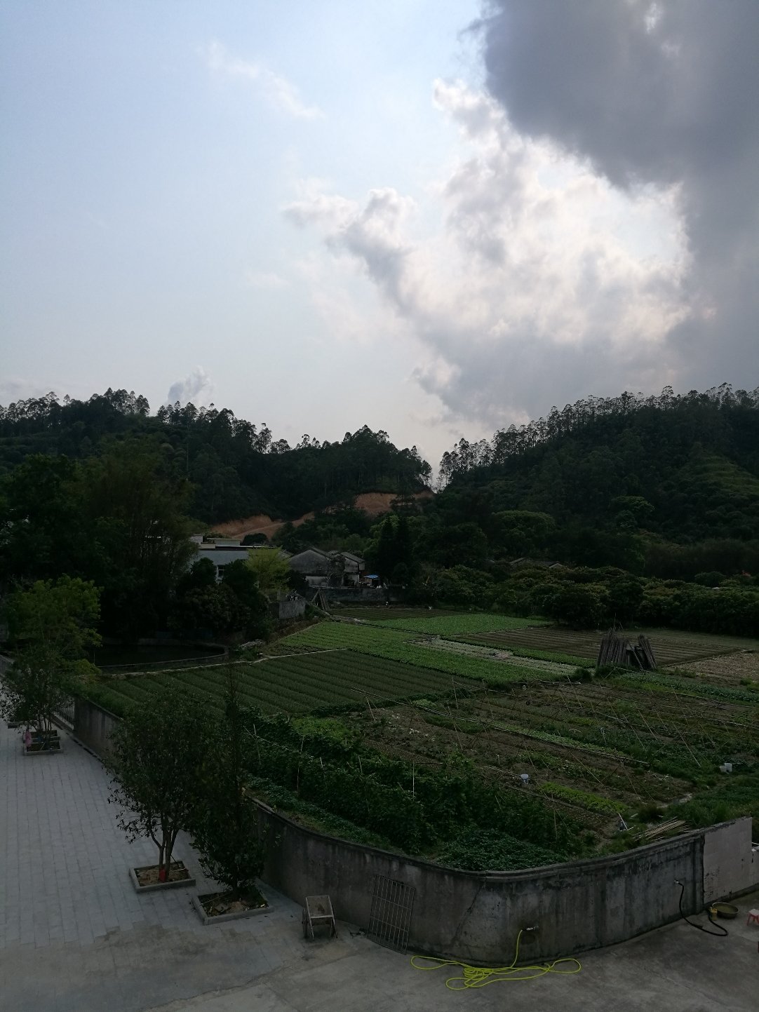 <b>惠阳区新圩镇某果园出让</b>